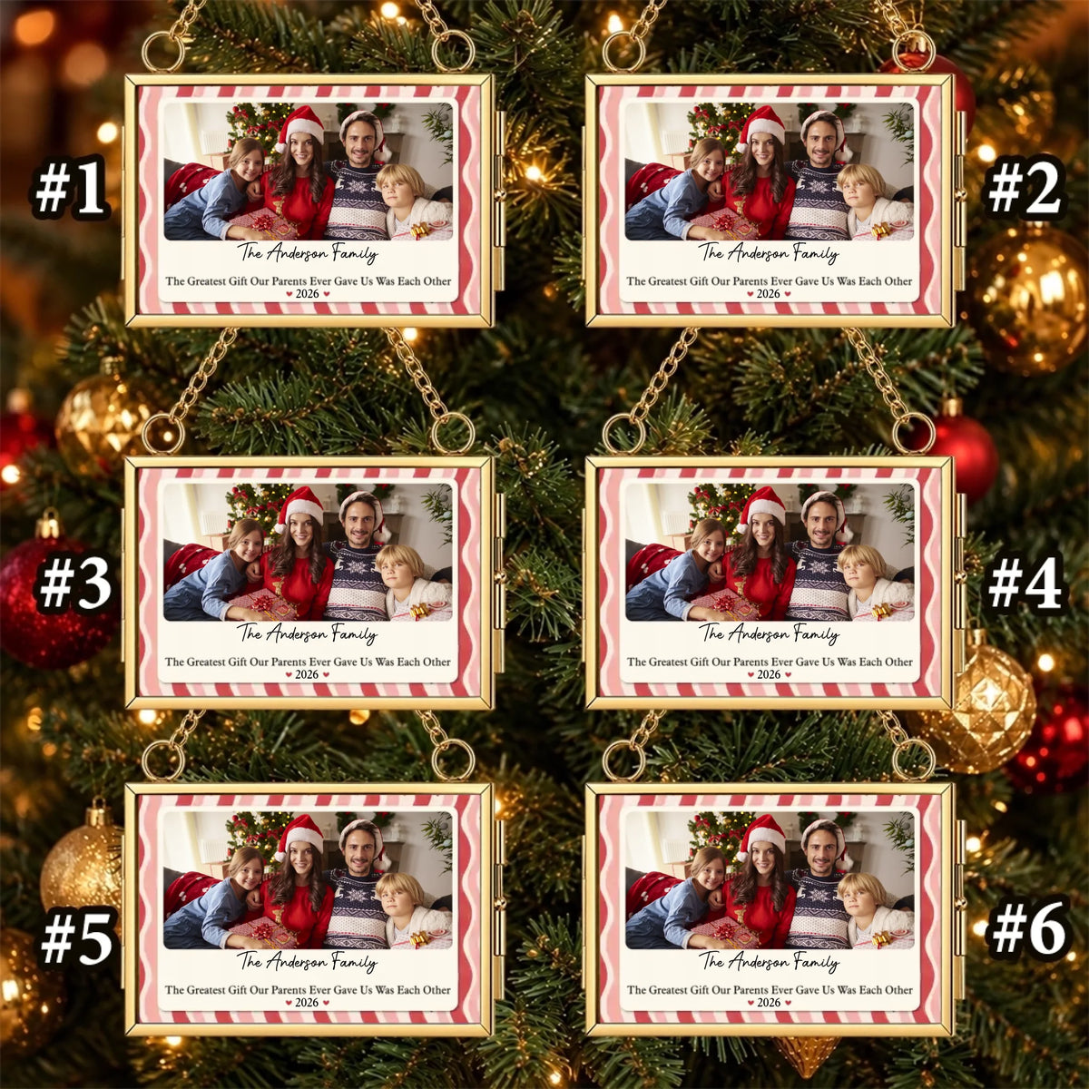pack 6