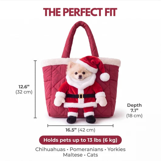 Santa Pet Carrier for Small Dogs and Cats