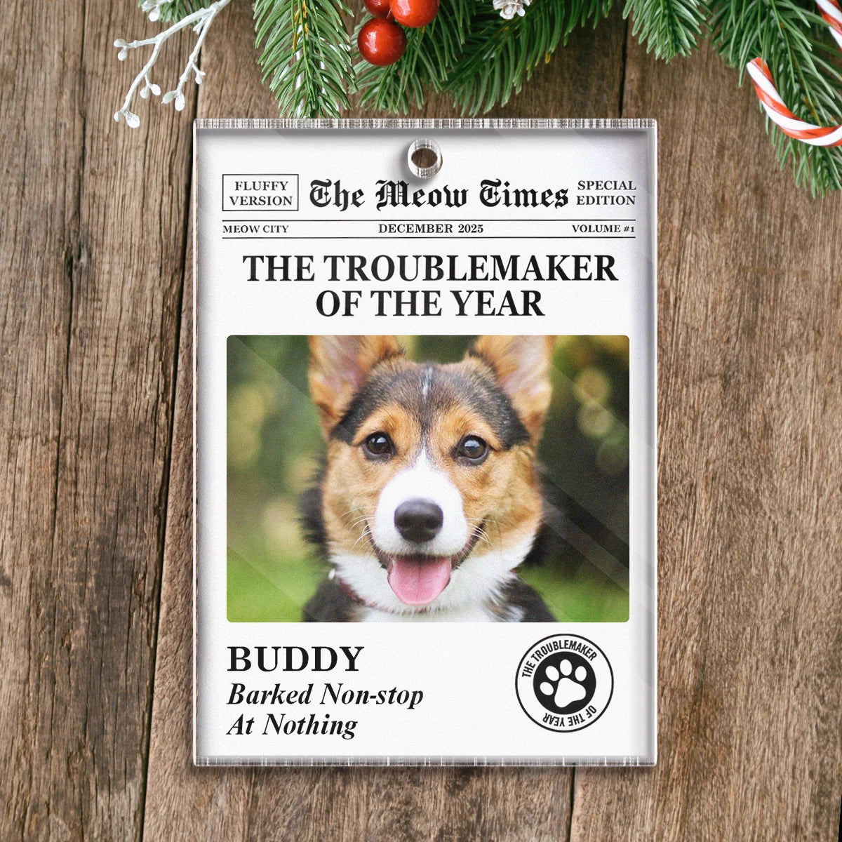 "The Troublemaker Of The Year" Personalized Pet Photo Acrylic Ornament - Custom Gift for Pet Lovers