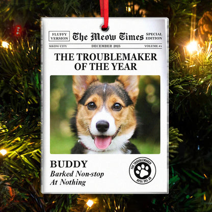 "The Troublemaker Of The Year" Personalized Pet Photo Acrylic Ornament - Custom Gift for Pet Lovers
